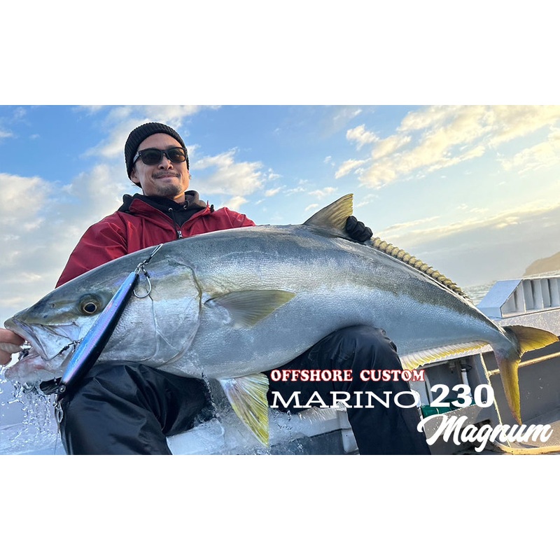 D-Claw Floating Stickbait Marino 230 Magnum