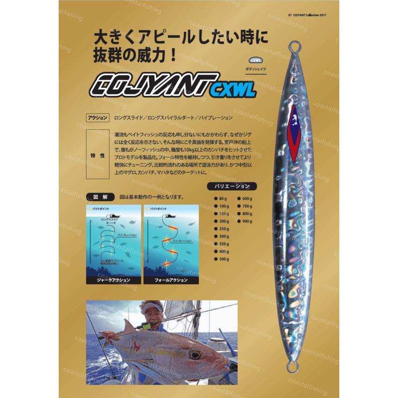 Cojyant Metal Jig CXWL 100g