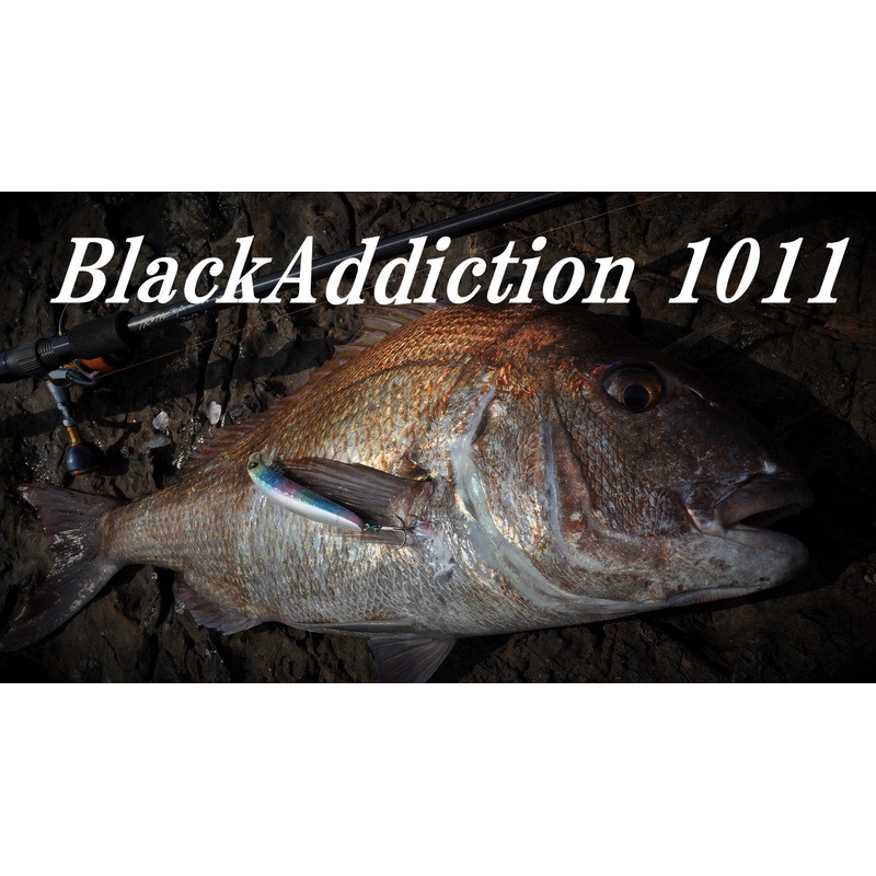 TRUTH JAPAN Seabass Spinning Rod Black Addiction 1011
