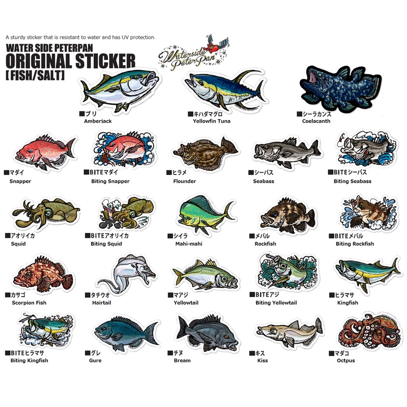 Water Side PeterPan Saltwater Fish Sticker – Regular Size