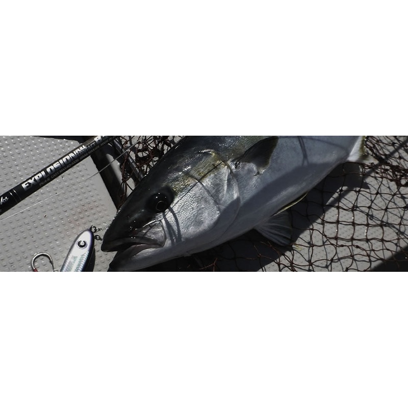 MC Works EXPLOSION FULLCONTACT EXP835CTR SPECIAL MODEL