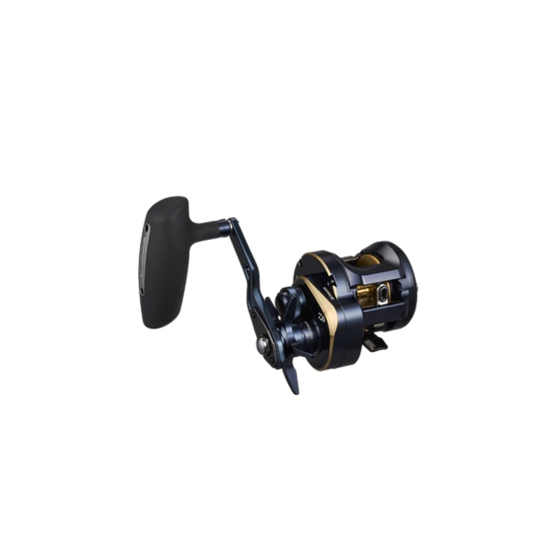 DAIWA 25 Saltiga 300H