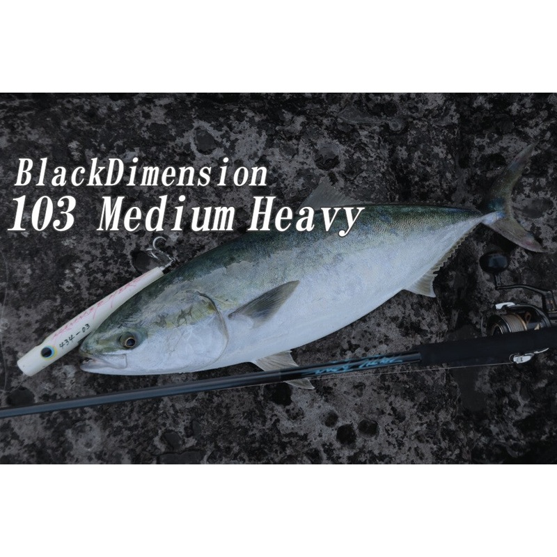 TRUTH JAPAN Spinning Rod BlackDimension 103MH
