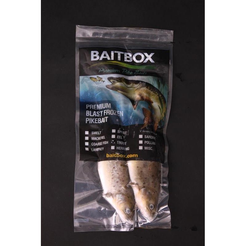 Frozen Trout Pike Bait