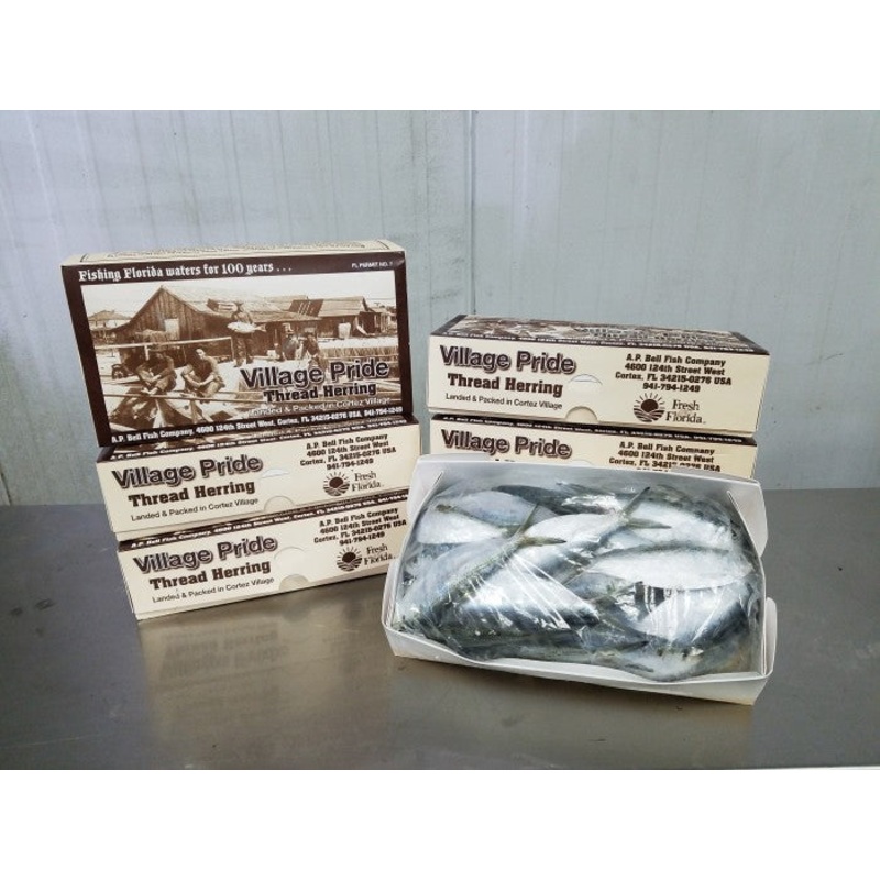 VILLAGE PRIDE THREADFIN HERRING 5LB
