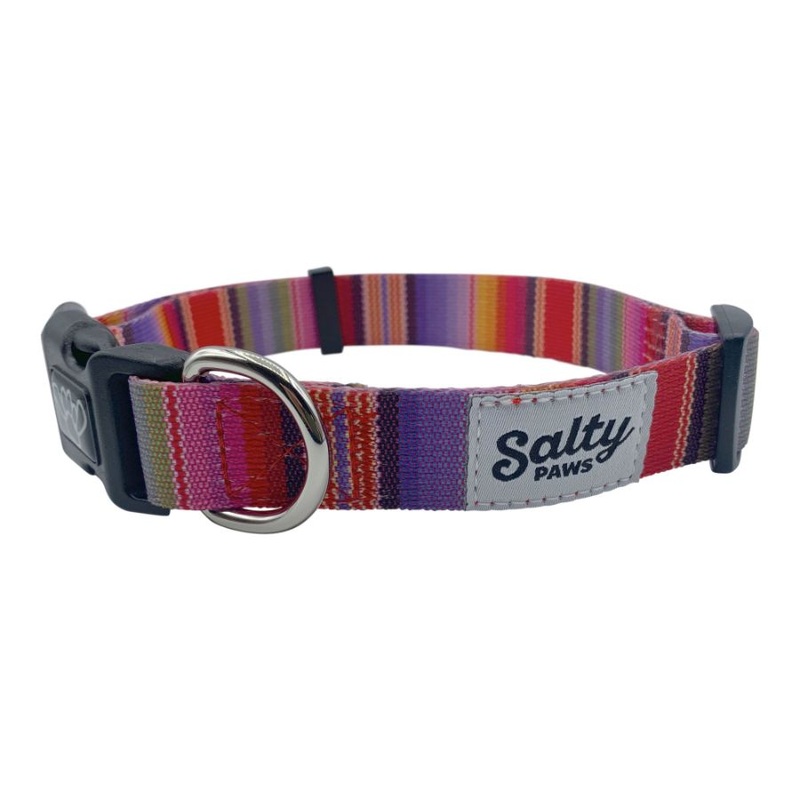 SALTY PAWS DOG COLLAR BAJA PRINT