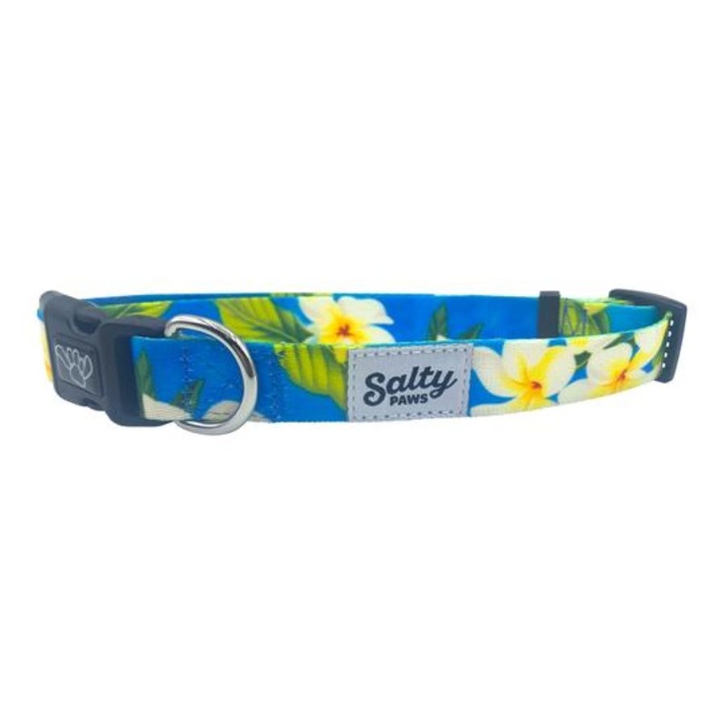 SALTY PAWS DOG COLLAR BLUE PLUMERIA