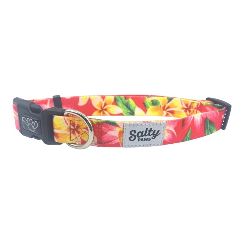 SALTY PAWS DOG COLLAR PINK FLORAL