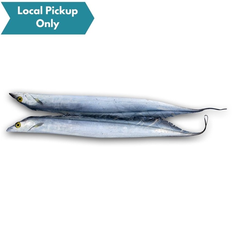 BAIT RIBBON FISH 2pk