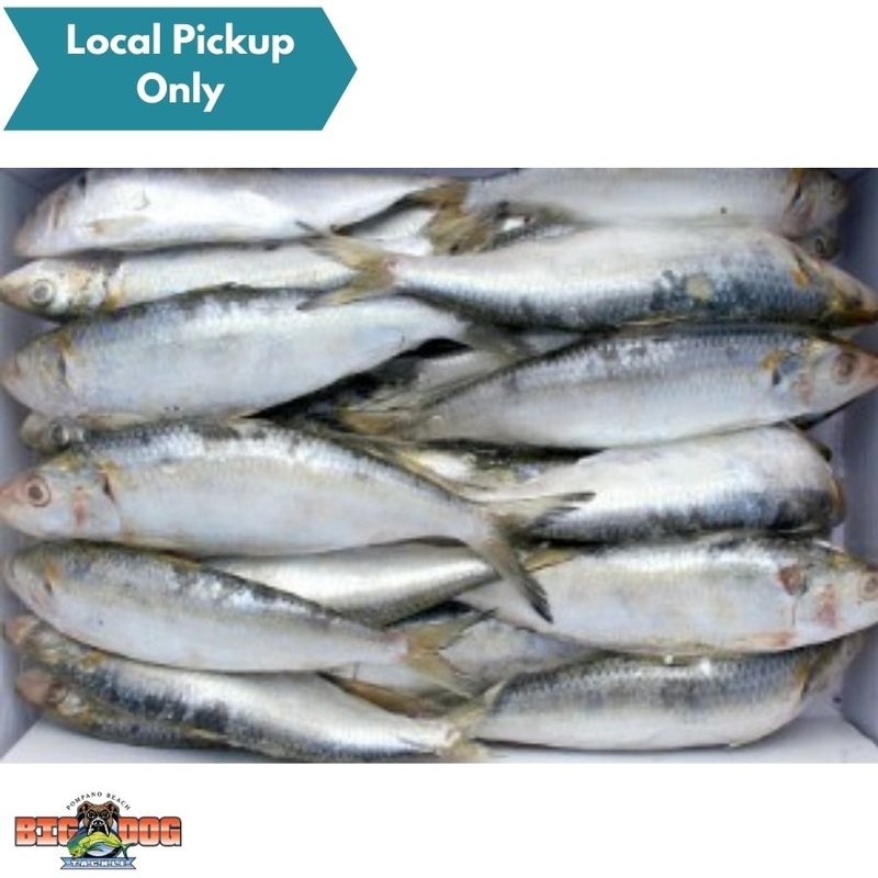 BIONIC BAIT MENHADEN SARDINE FLAT 33lb