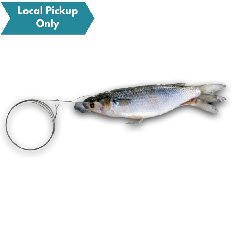 BIONIC BAIT RIGGED MULLET WIRE 1pk