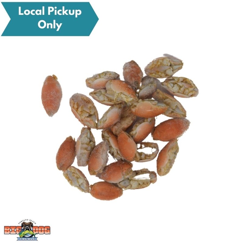 BIONIC BAIT SAND FLEAS 24pk