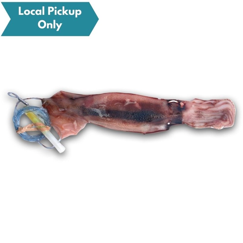 BIONIC BAIT SWORD BAIT SQUID W/ LIGHT RIGGED NIGHTTIME