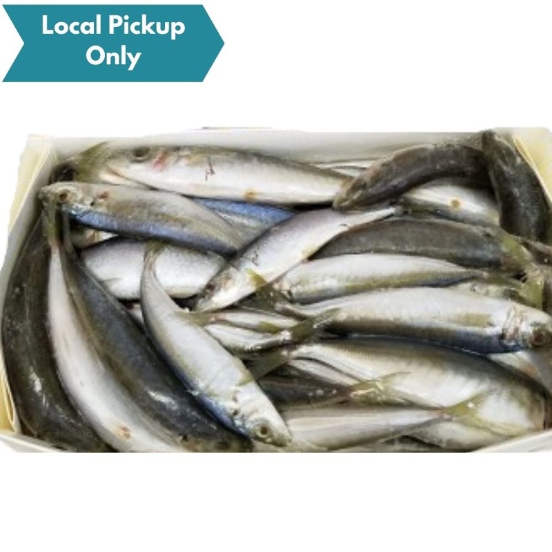 CAP’N SALTY CIGAR MINNOWS 5lb