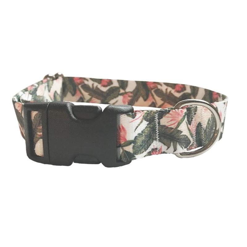 JESSIE JESSUP DOG COLLAR BIRD OF PARADISE
