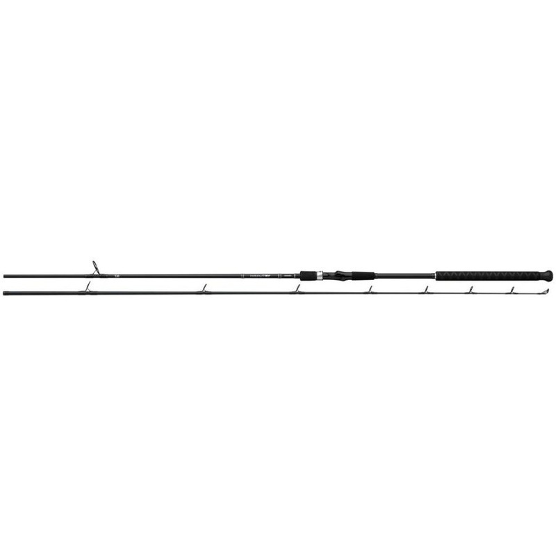 DAIWA EMBLEM SURF SPINNING ROD