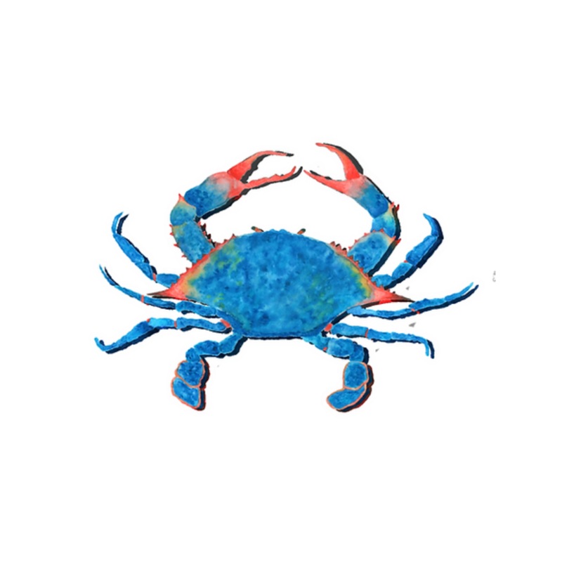 JESSIE JESSUP STICKERS LAND CRAB