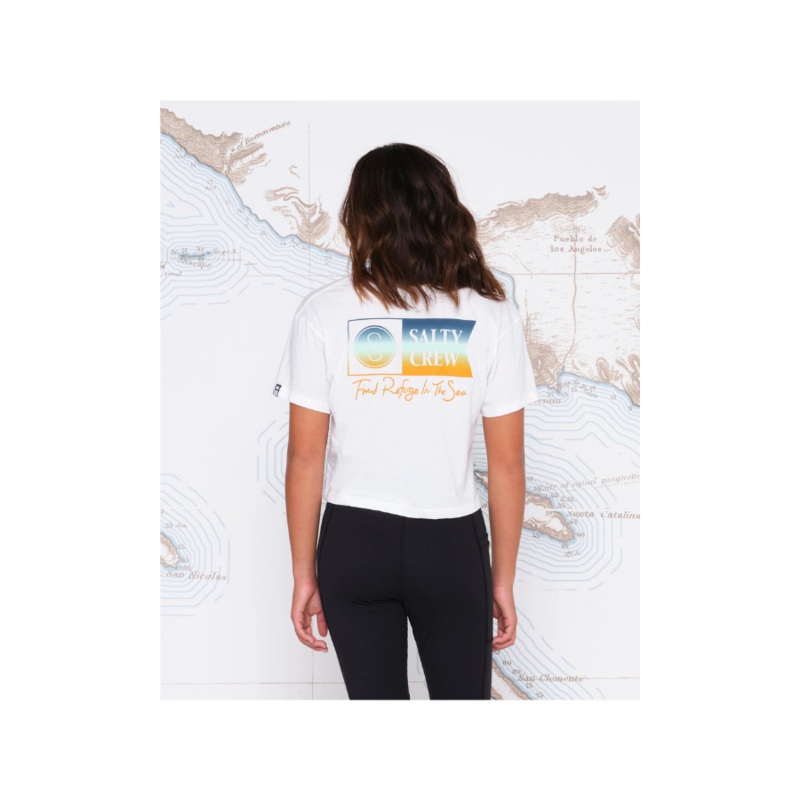 SALTY CREW ALPHA GRADIENT SKIMMER TEE