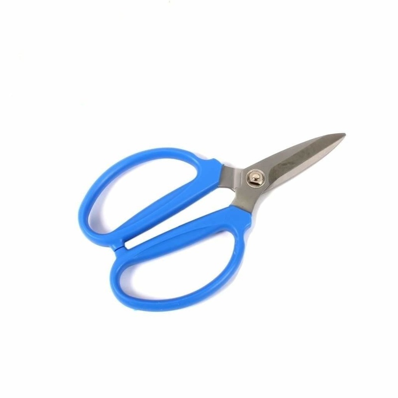 Stainless Steel Scissors