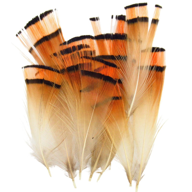 Wapsi Golden Pheasant Tippets