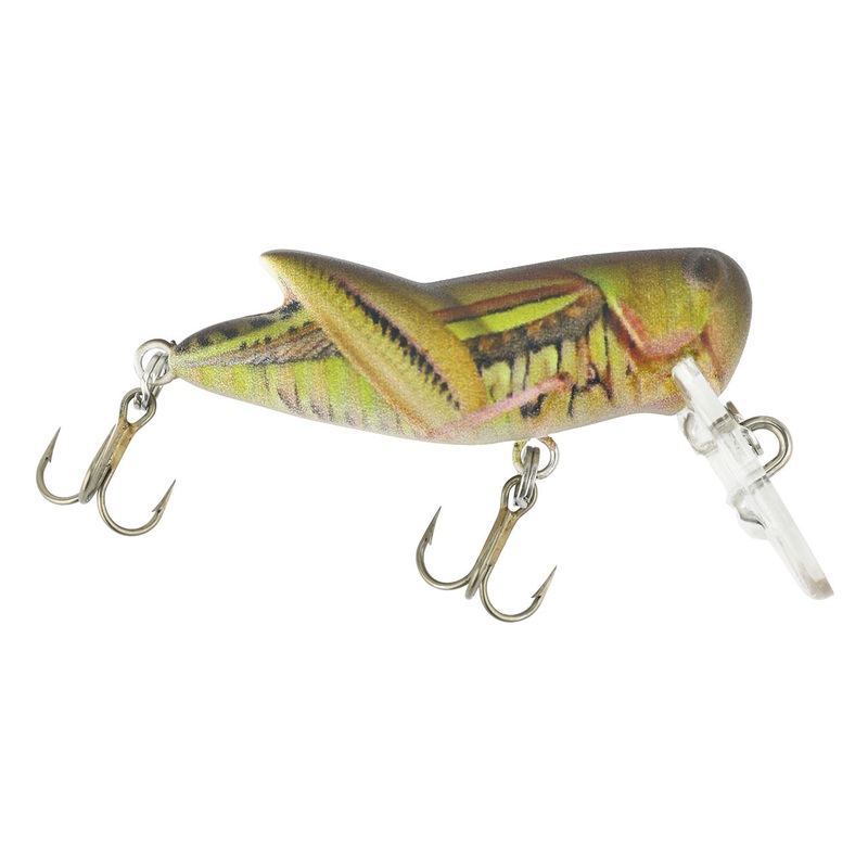 Rebel Crickhopper