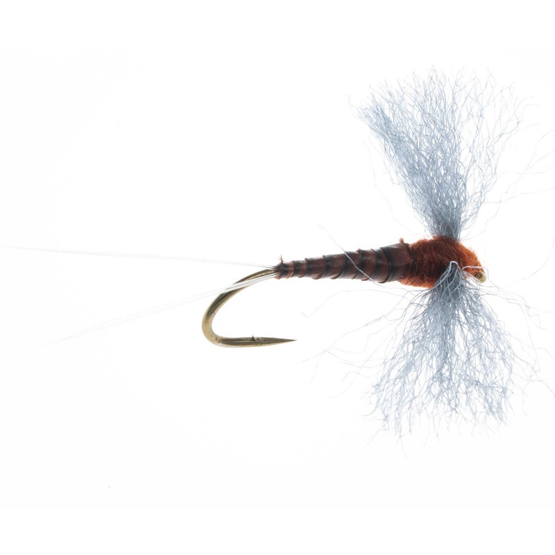 Rusty Spinner Dry Fly – 2 Pack