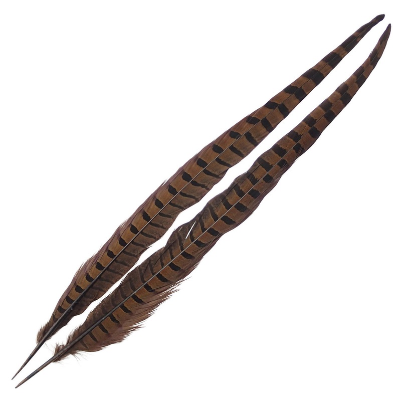 Wapsi Ringneck Pheasant Tail Feathers