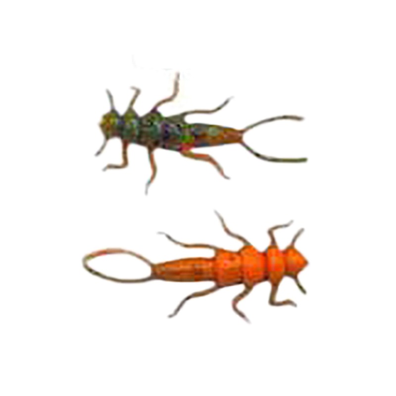 Limestone Stone Fly Soft Bait