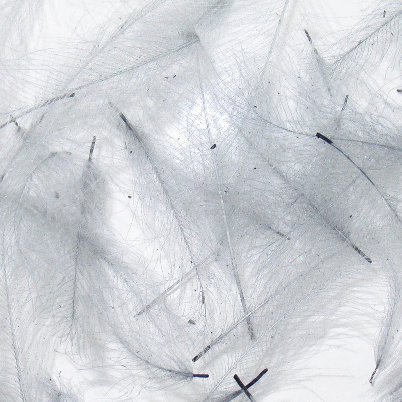 Wapsi CDC Cul De Canard Feathers