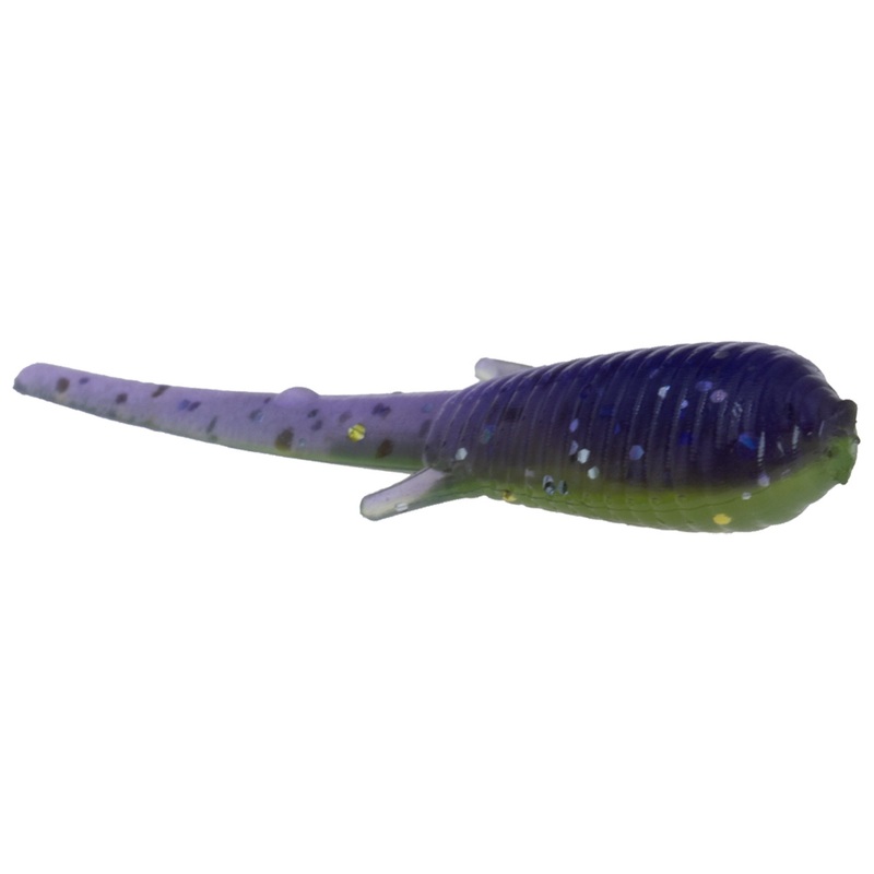 Clam CPT Niku Soldier Fly