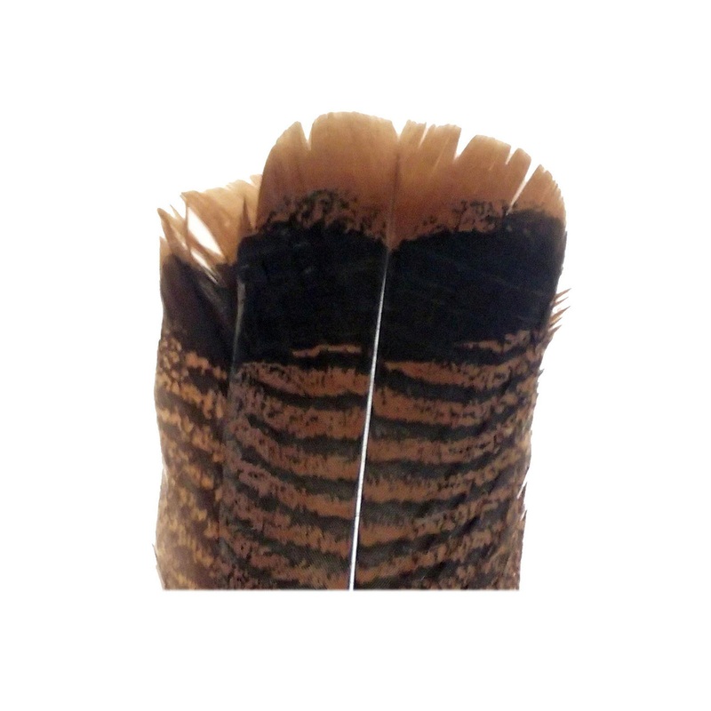 Wapsi Ozark Turkey Tail Feathers