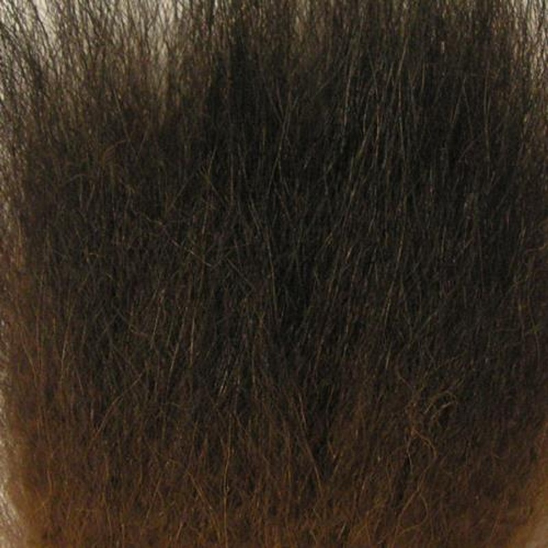 Wapsi Black Bear Hair