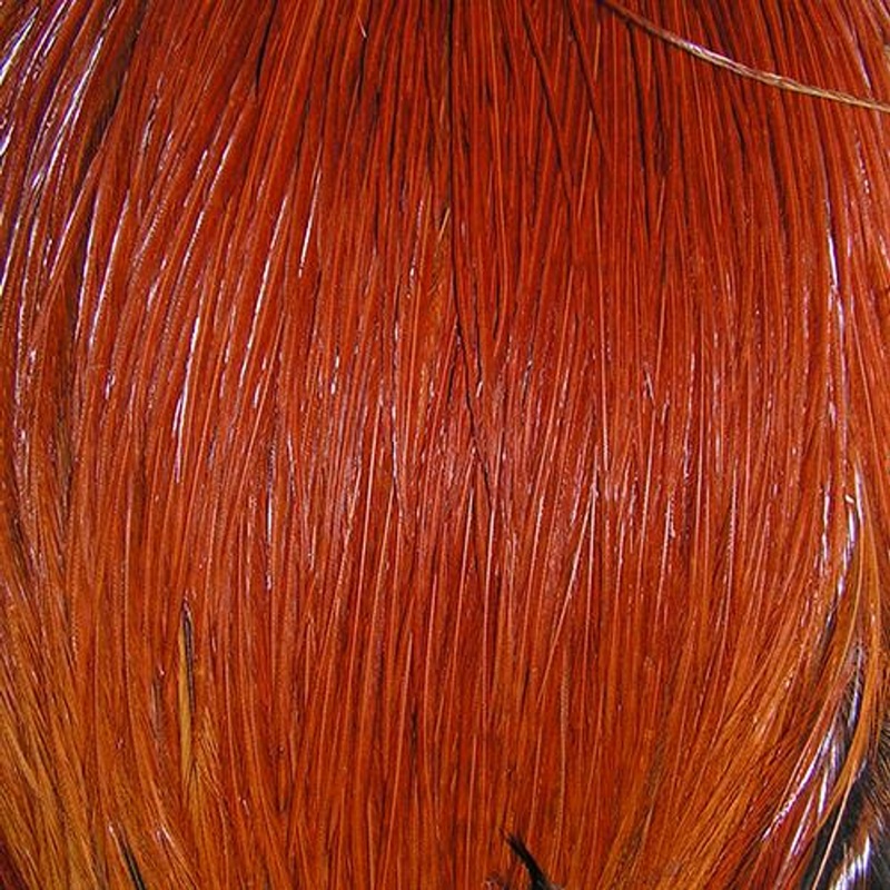 Metz Dry Fly Neck