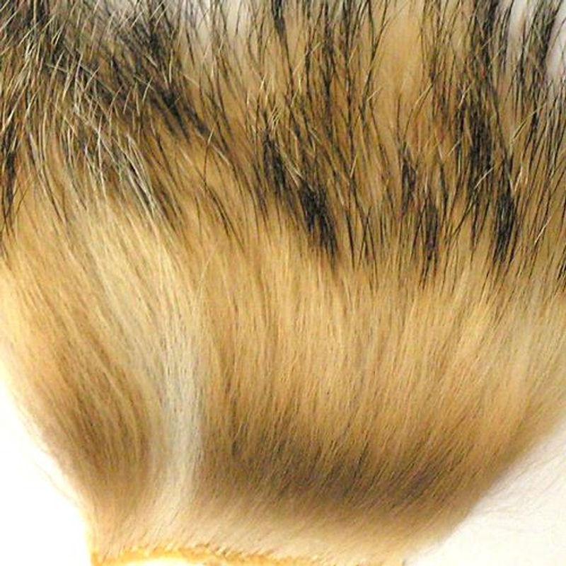 Wapsi Badger Hair