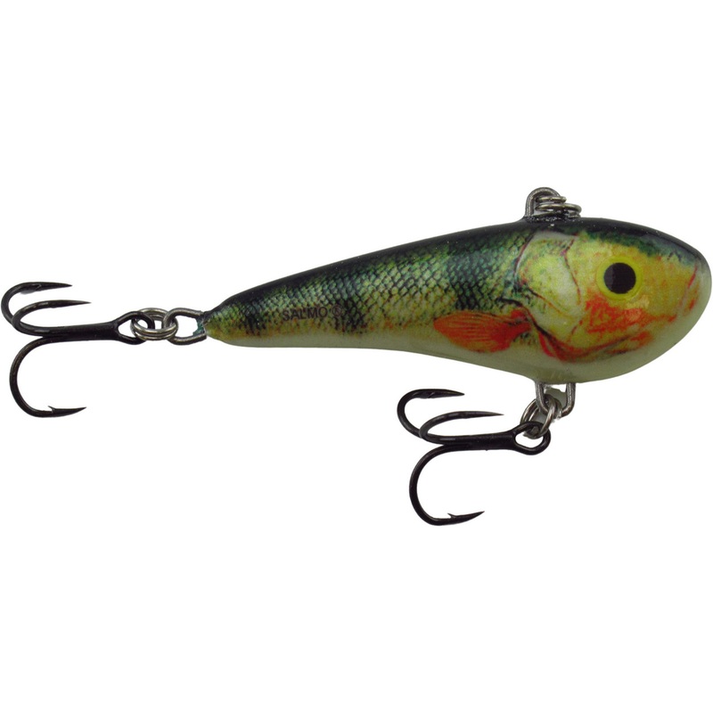 Salmo Chubby Darter